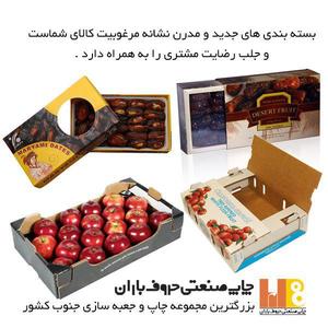 نمونه کار چاپ