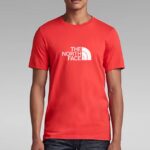 تیشرت برند د نورث  the north face
